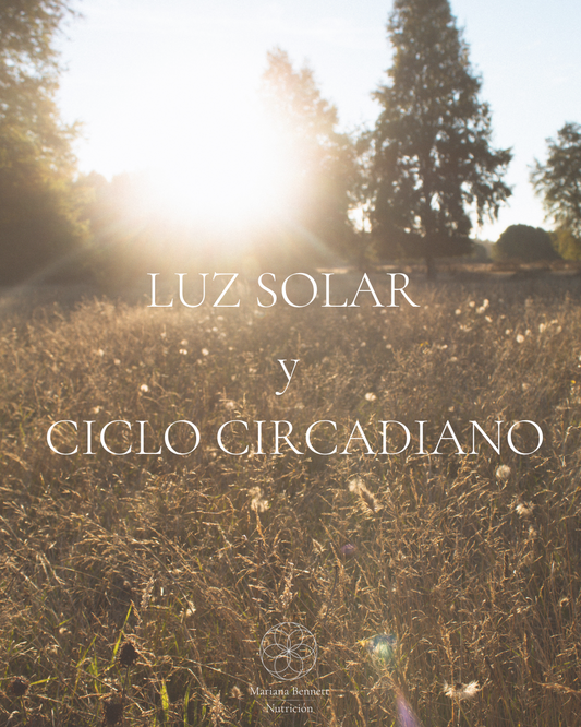 Luz solar y ciclo circadiano